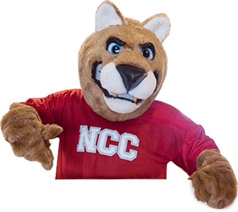 ncc sheldon|ncc sheldon my place.